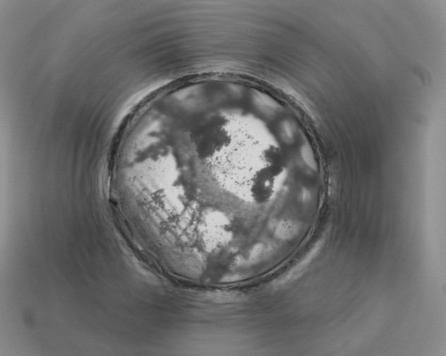 X0000113571117200910161512