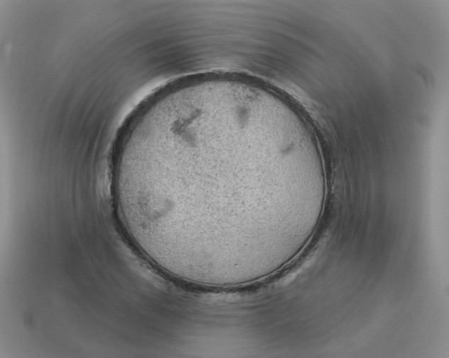 X0000113571118200910161512