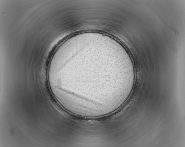 X0000113571119200910161512