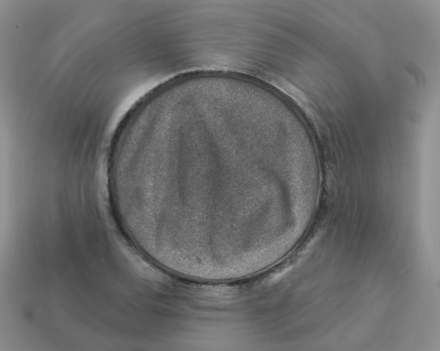 X0000113571120200910161512