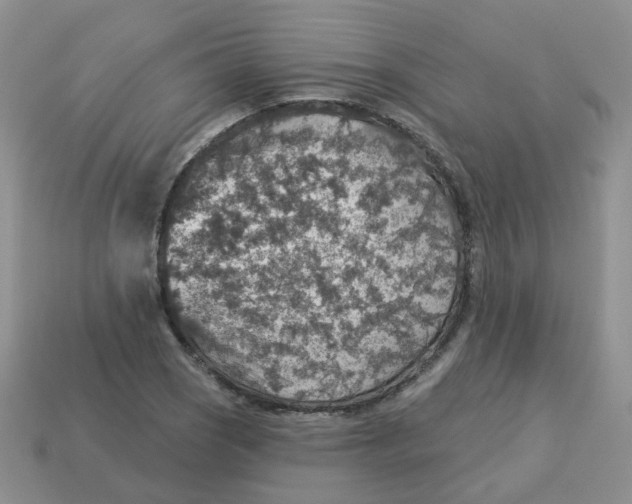 X0000113571121200910161512