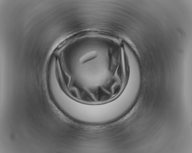 X0000113571122200910161512