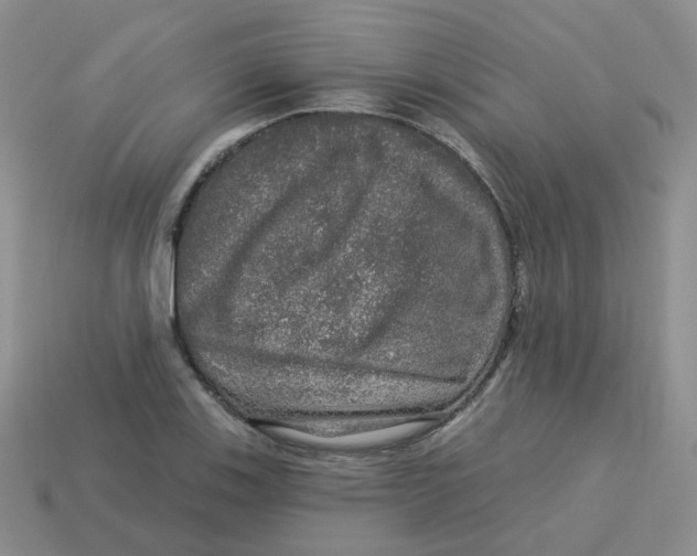 X0000113571123200910161512