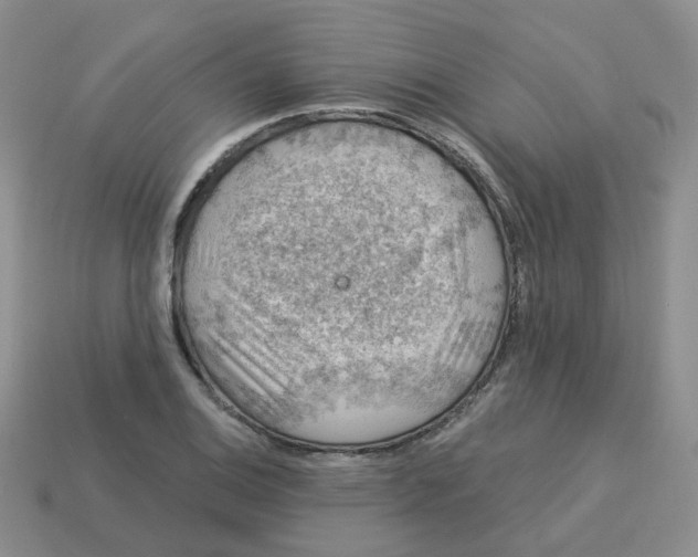 X0000113571124200910161512