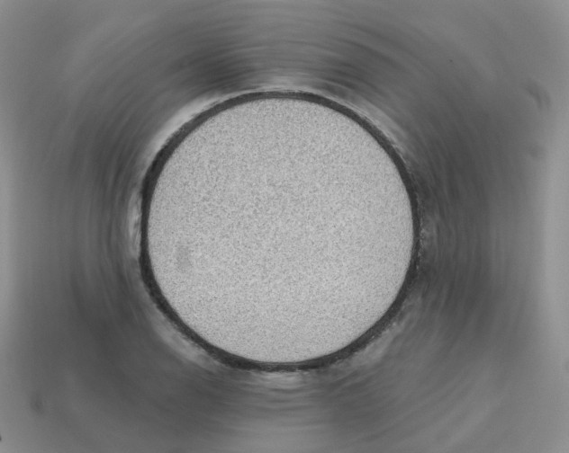 X0000113571126200910161512