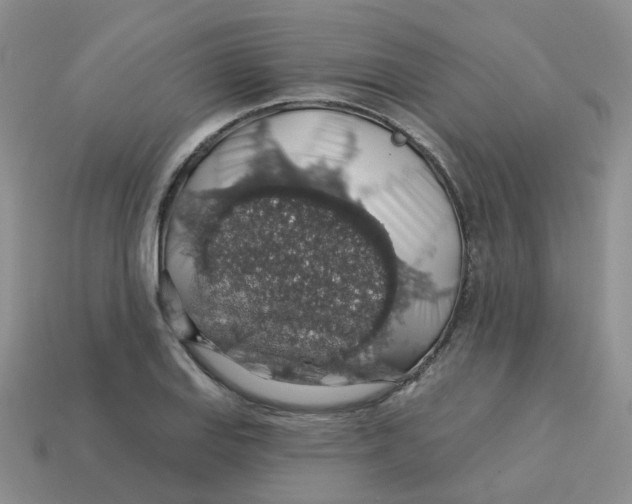 X0000113571127200910161512