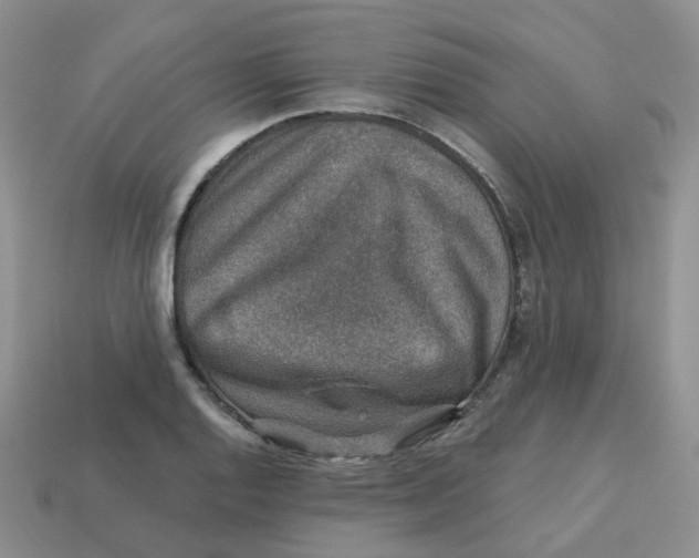 X0000113571128200910161512