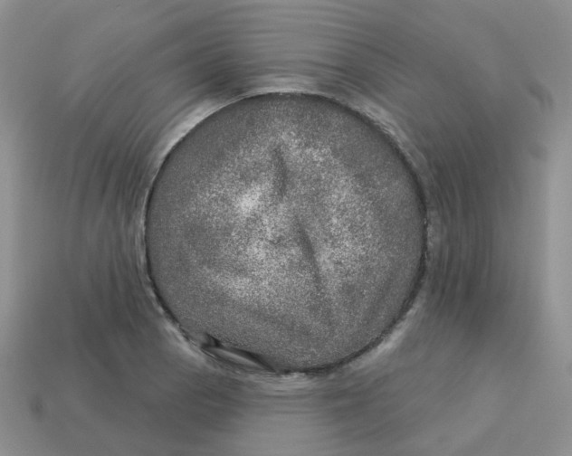 X0000113571129200910161512