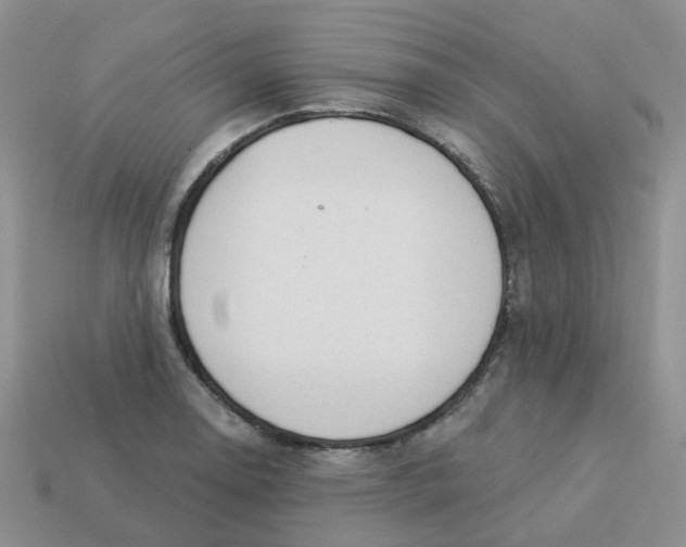 X0000113571130200910161512