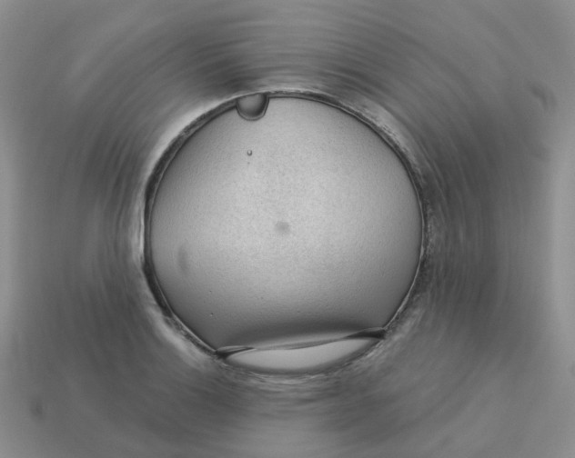 X0000113571132200910161512