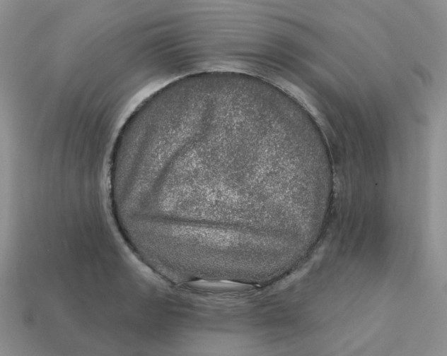 X0000113571133200910161512