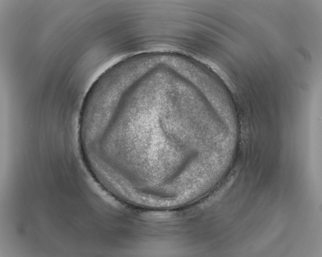 X0000113571134200910161512