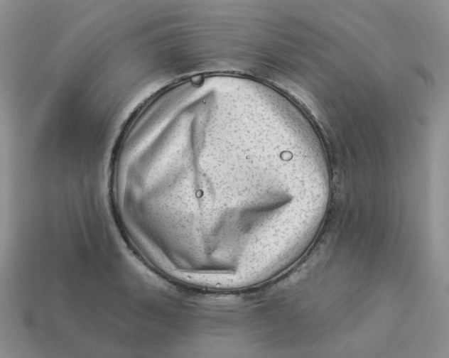 X0000113571135200910161512