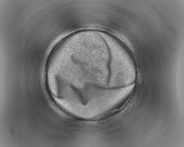 X0000113571136200910161512