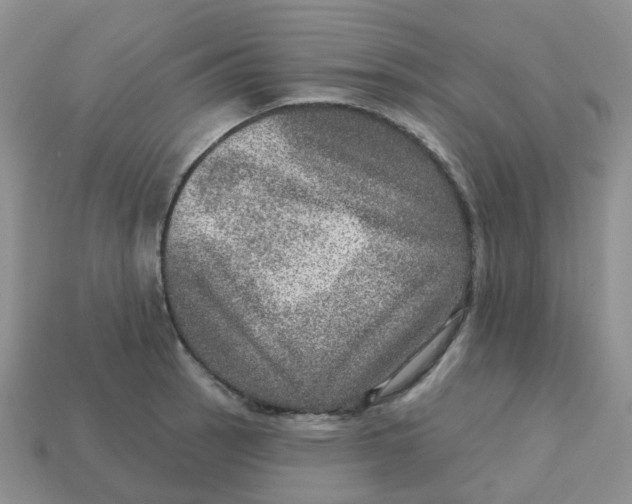 X0000113571137200910161512