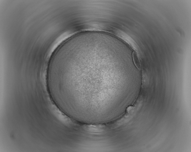 X0000113571138200910161512