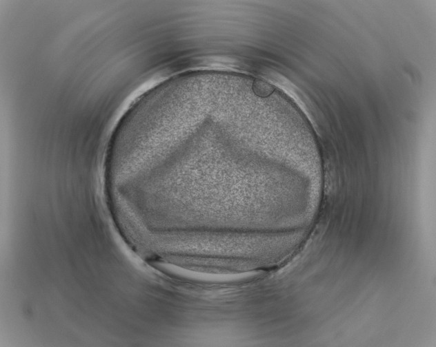 X0000113571139200910161512