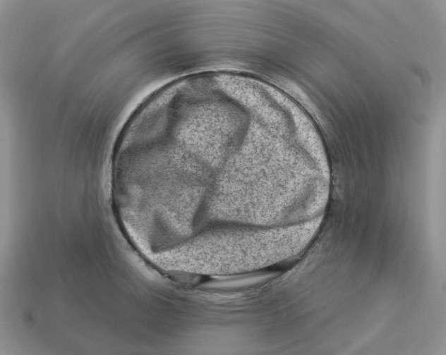 X0000113571140200910161512