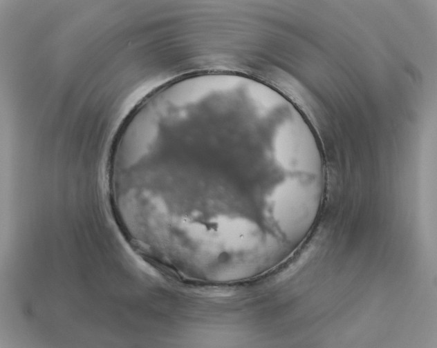 X0000113571141200910161512