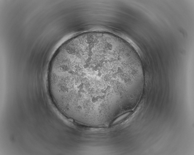 X0000113571142200910161512