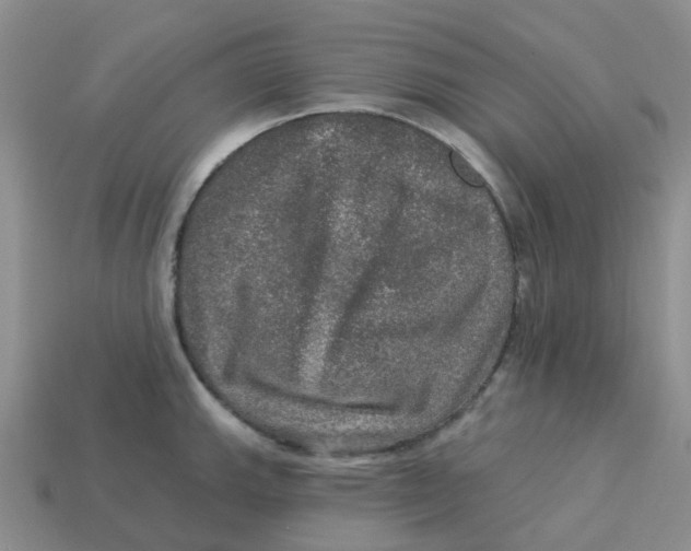 X0000113571143200910161512