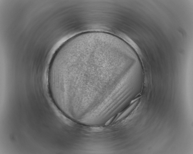 X0000113571144200910161512