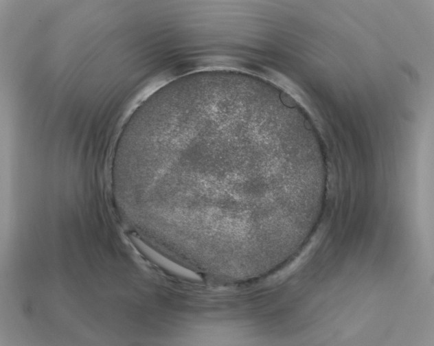 X0000113571145200910161513