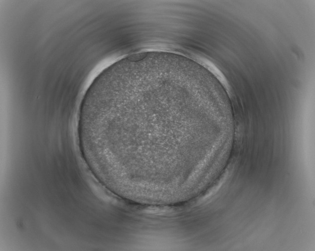 X0000113571146200910161513