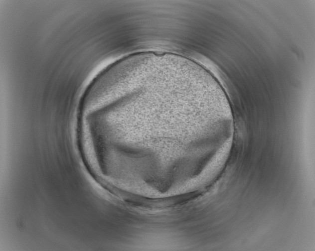 X0000113571147200910161513