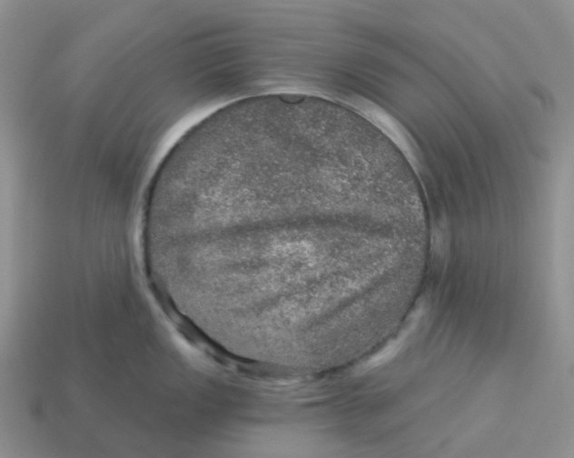 X0000113571149200910161513