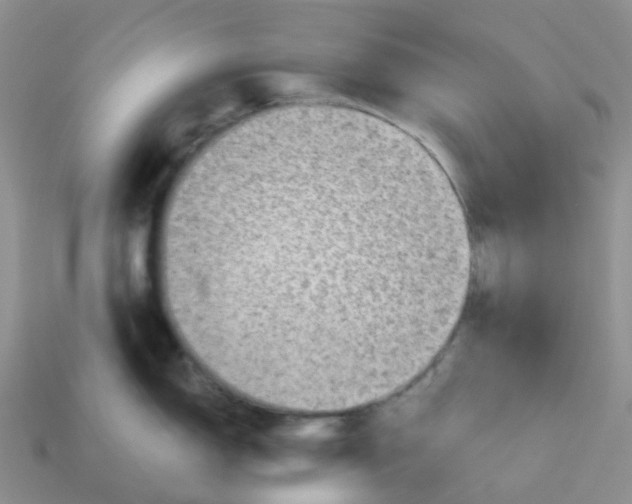 X0000113571150200910161513