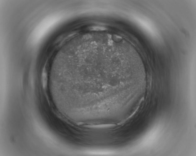 X0000113571151200910161513