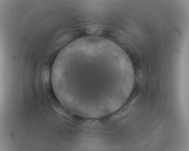 X0000113571154200910161512