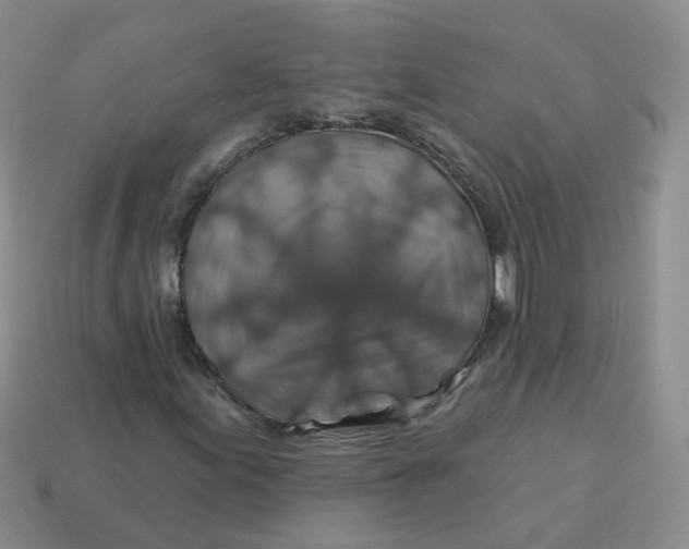 X0000113571155200910161512