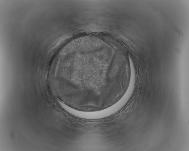 X0000113571157200910161512