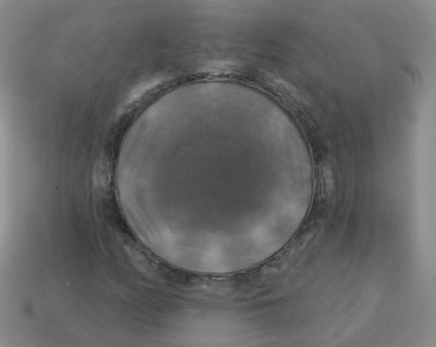 X0000113571158200910161512