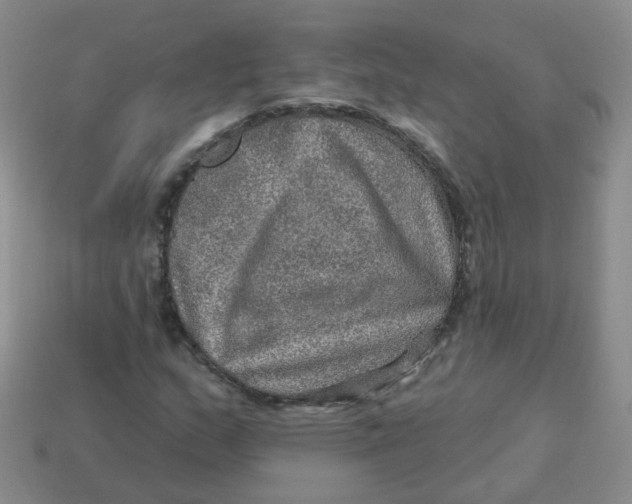 X0000113571159200910161512