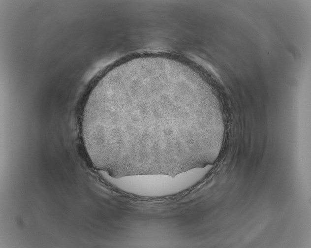 X0000113571160200910161512