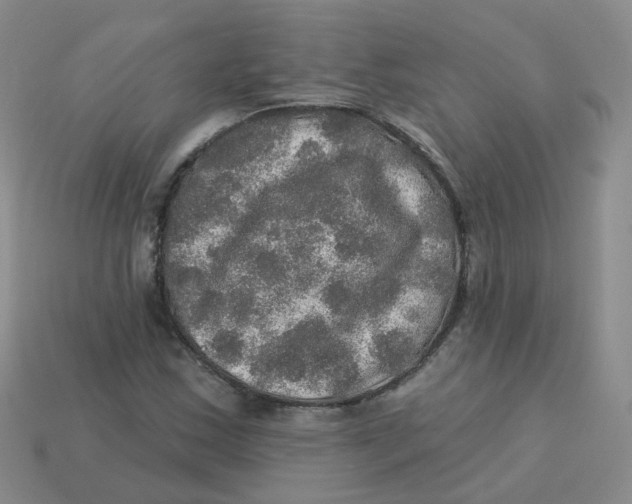 X0000113571163200910161512