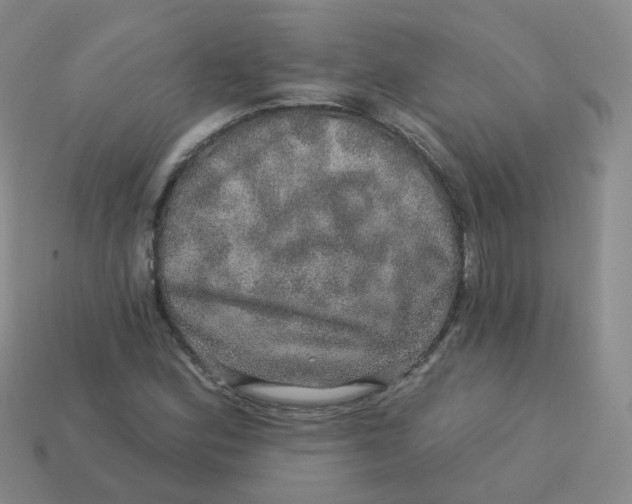 X0000113571164200910161512