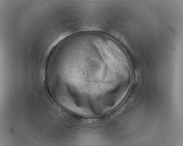 X0000113571165200910161512