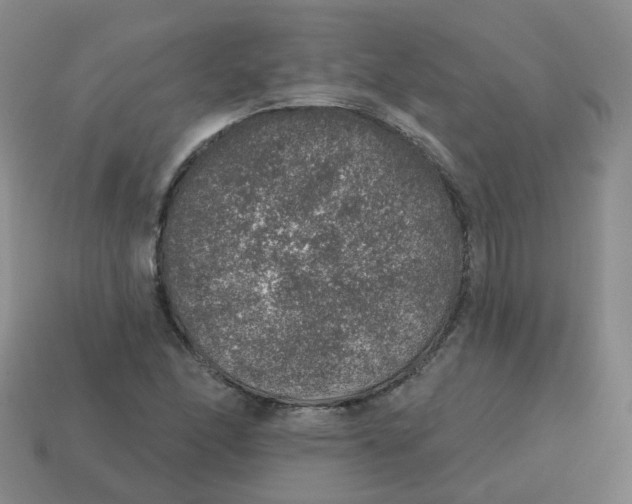 X0000113571166200910161512