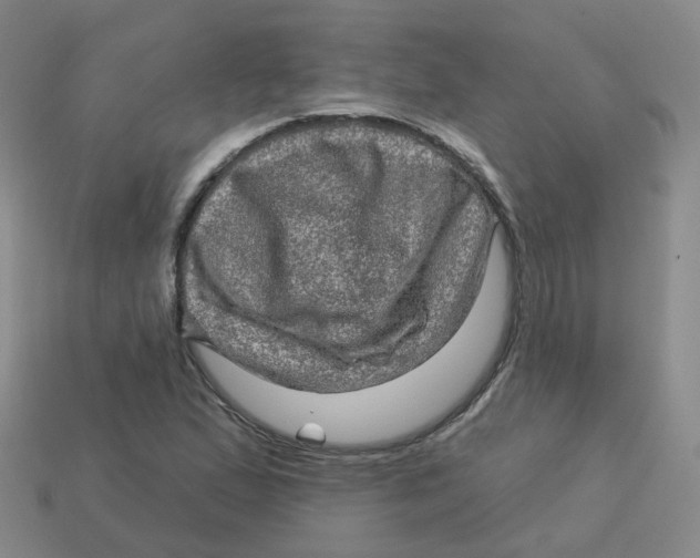 X0000113571167200910161512