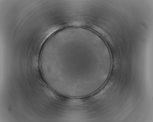 X0000113571170200910161512