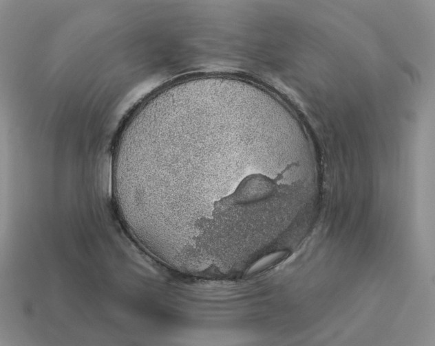 X0000113571171200910161512