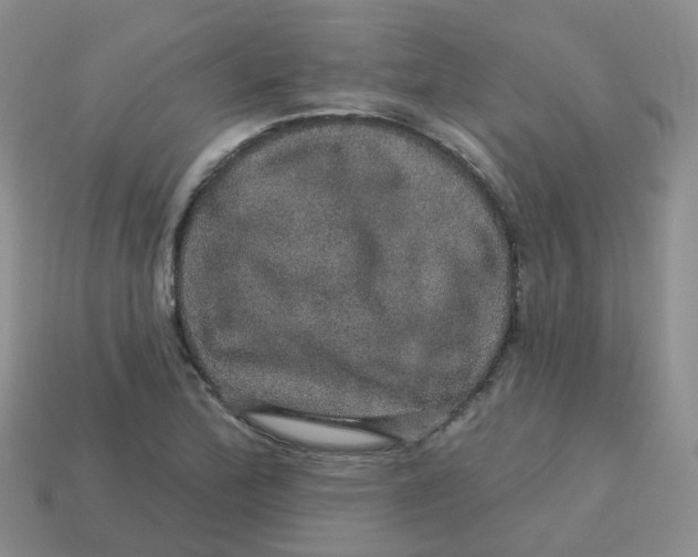 X0000113571172200910161512