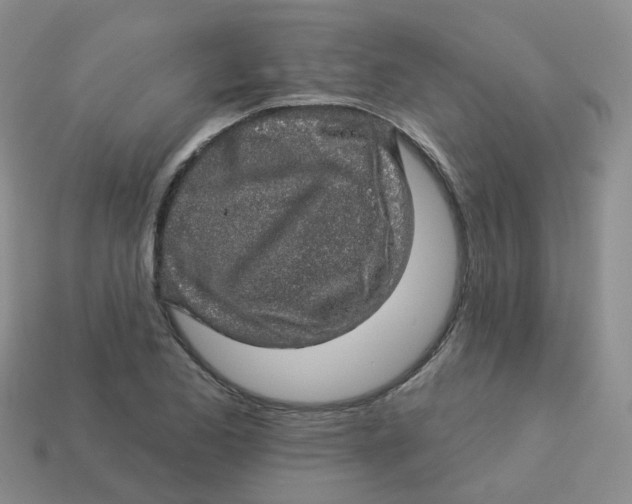 X0000113571173200910161512