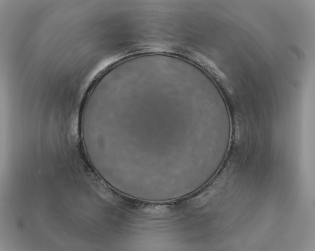 X0000113571174200910161512