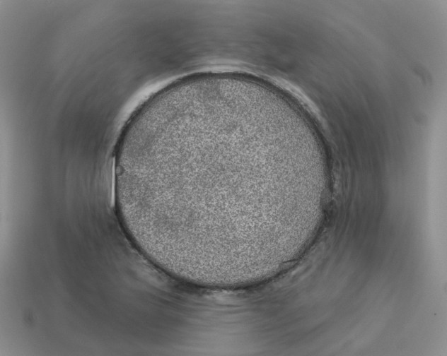 X0000113571175200910161512