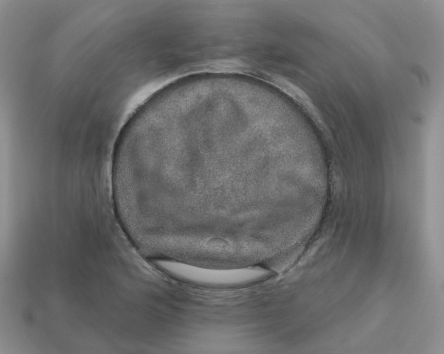 X0000113571176200910161512